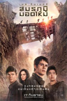 Maze Runner 2 : The Scorch Trials - เมซ รันเนอร์ : สมรภูมิมอดไหม้