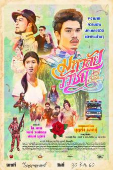 Song from Phatthalung - มหาลัยวัวชน