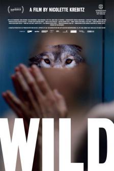 Wild - ไวลด์