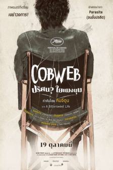 Cobweb (Korea) - ปริศนา ใยแมงมุม