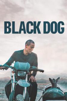 Black Dog - สี่ขาหัวใจไม่ดำ