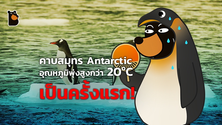 คาบสมุทร Antarctic อุณหภูมิพุ่งสูงกว่า 20ºC เป็นครั้งแรก!