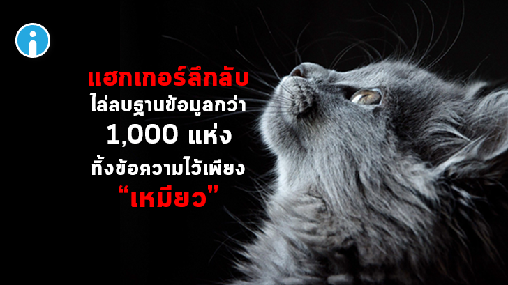 แฮกเกอร์ลึกลับไล่ลบฐานข้อมูลที่มีช่องโหว่กว่า 1,000 แห่ง พร้อมทิ้งข้อความว่า \