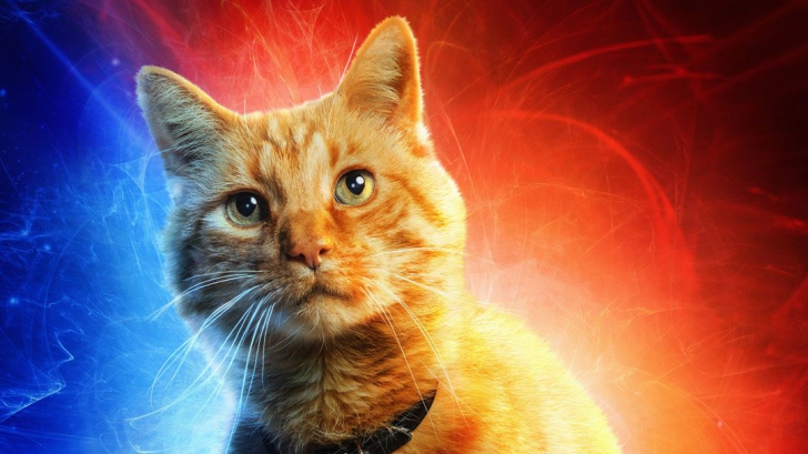 เรื่อง(ไม่)ลับของเจ้าแมวส้ม Goose ในภาพยนตร์ Captain Marvel