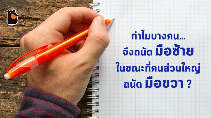 ทำไมบางคนจึงถนัดมือซ้าย ในขณะที่คนส่วนใหญ่ถนัดมือขวา?