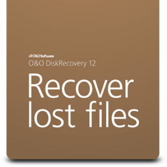 DiskRecovery Professional