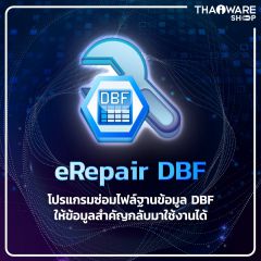 eRepair DBF