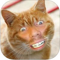 Cat Me (App ทำหน้าแมว พร้อม สติ๊กเกอร์แมว น่ารัก)