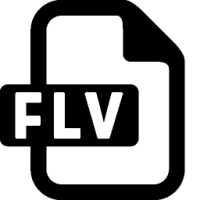 flv to mp3 converter 2.2.1.0