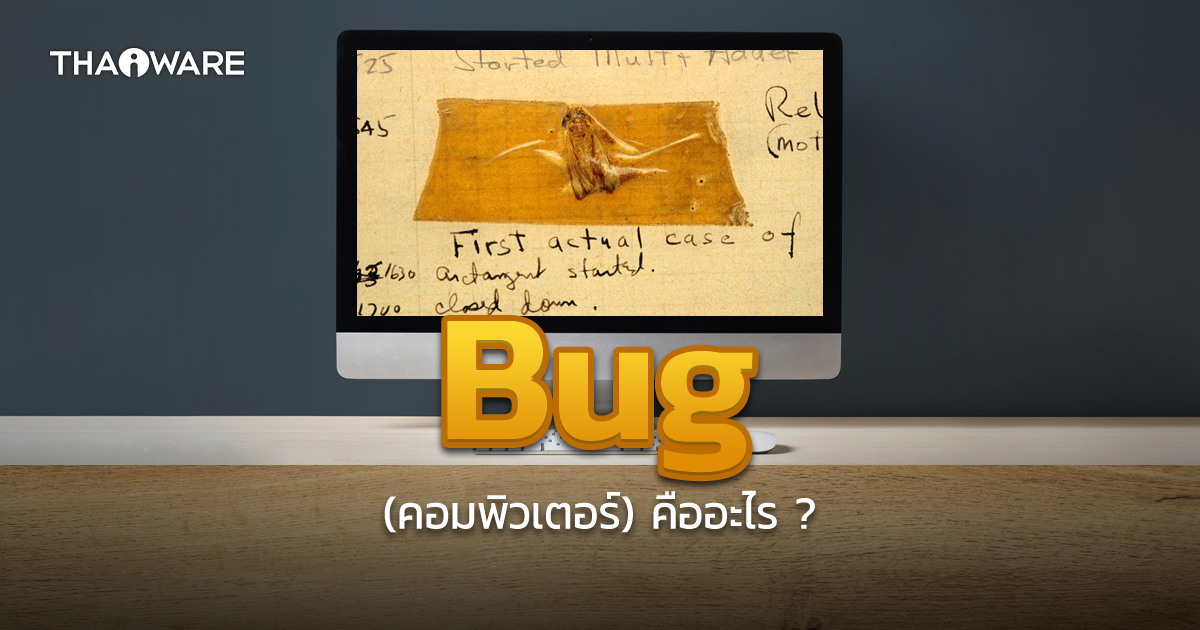 Computer Bug คืออะไร ? ทำไมแมลงถึงเป็นตัวร้าย ทำลายระบบคอมพิวเตอร์ ?