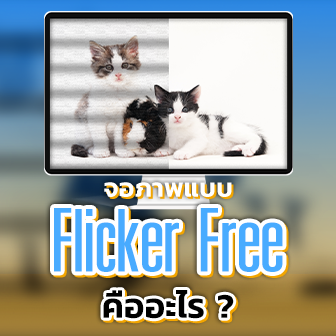 Flicker-Free คืออะไร ? เทคโนโลยี Flicker-Free ในหน้าจอคอมพิวเตอร์ มีประโยชน์อย่างไร ?