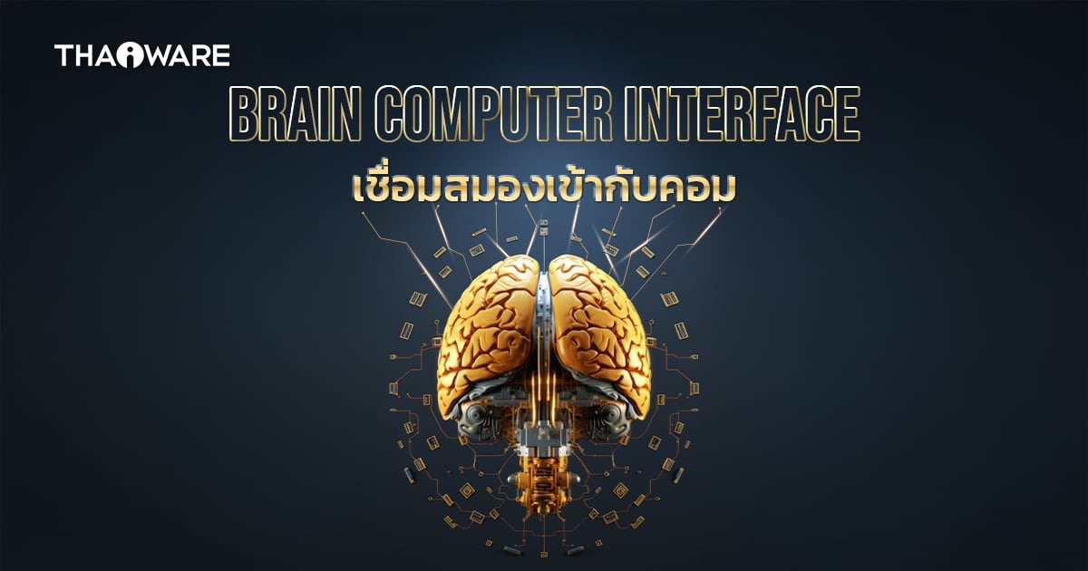 Brain Computer Interface คืออะไร ? เมื่อสมองของมนุษย์ กับเครื่องจักรเชื่อมต่อกัน