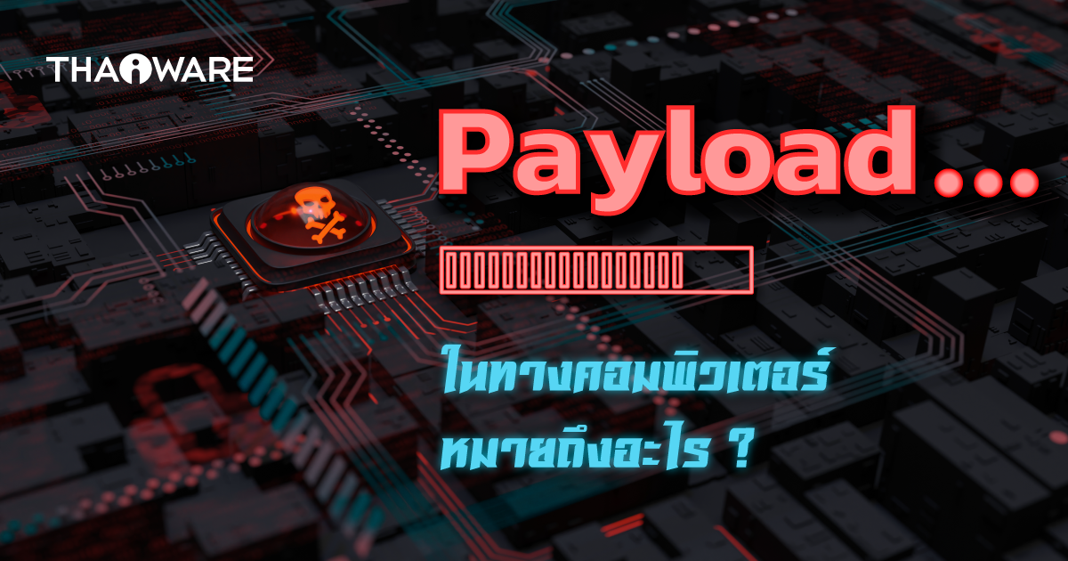 Payload ในด้านคอมพิวเตอร์ คืออะไร ? มีกี่ประเภท ? และทำงานอย่างไร ?