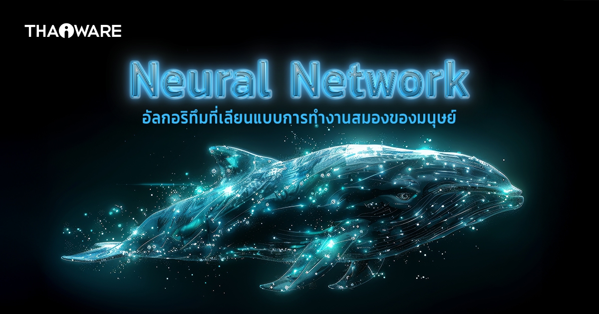 Neural Network คืออะไร ? รู้จักเครือข่ายประสาทเทียม เทคโนโลยีเบื้องหลัง AI