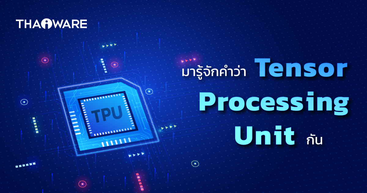 Tensor Processing Unit คืออะไร ? รู้จักชิปประมวลผล ที่ออกแบบมาเพื่อ AI โดยเฉพาะ